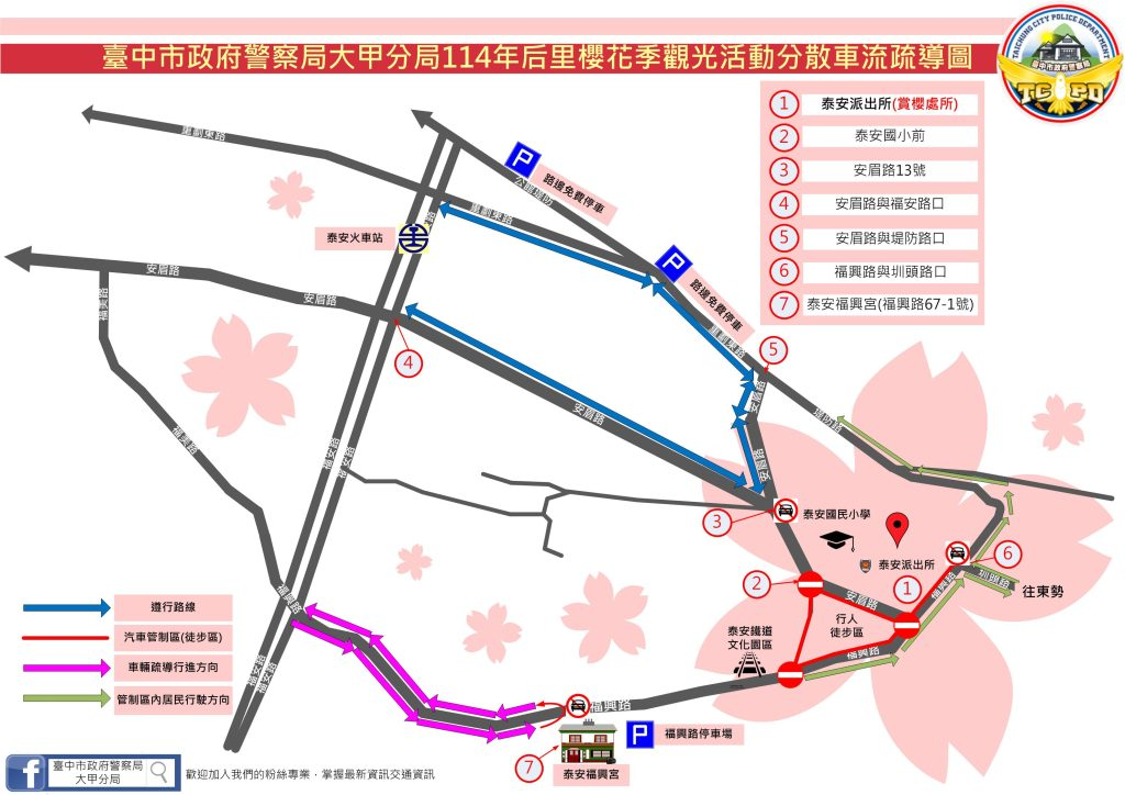 「泰安櫻花季」2月22日開跑  大甲分局公布交通疏導管制措施
